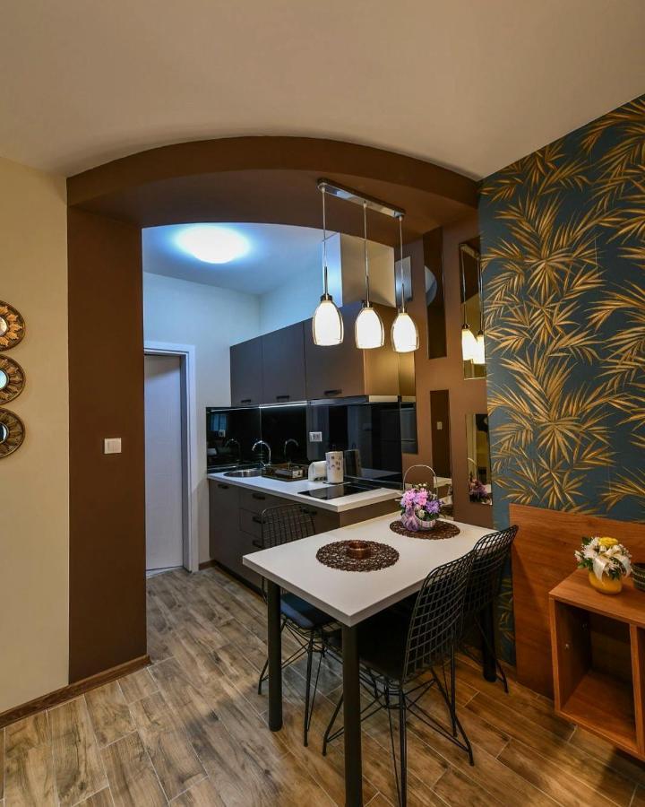 Apartman Dolar Kraljevo Bagian luar foto